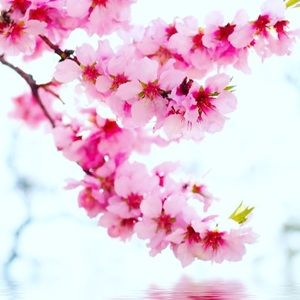 Meet your Posher, Eymi